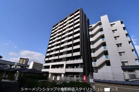 ウィークス ステラの画像