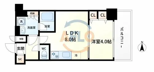 スプランディッドⅦ【8階】の間取り