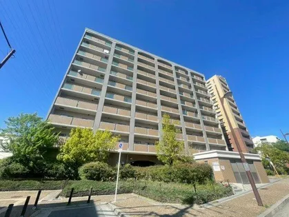 メディオ山田の画像