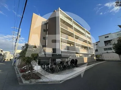 ロンド エーデルワイスの画像