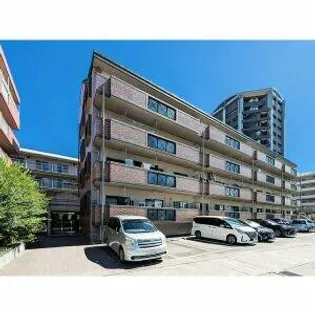 ロマンス リコの画像