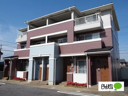 ティンカーベルの画像