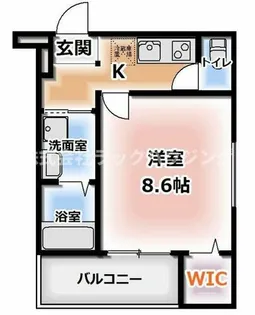 Lotus Vista Izumi【1階】の間取り