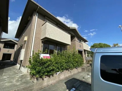 ラティルスの画像