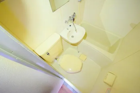 メゾンあすか【3階】の内装