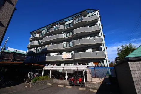 ボア ソルテの画像