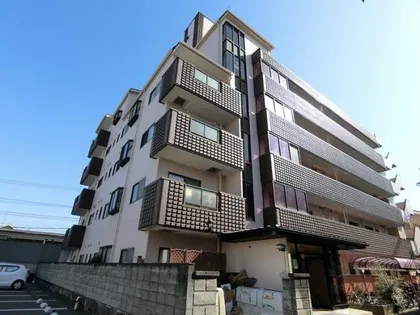 エストレラボアール7の画像