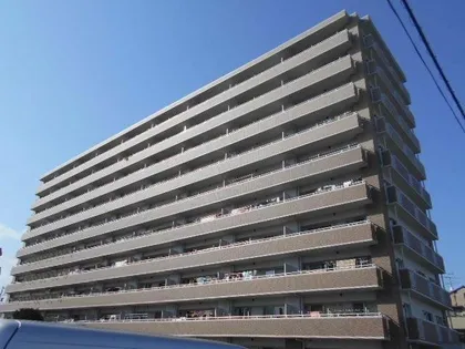 フィール清船の画像