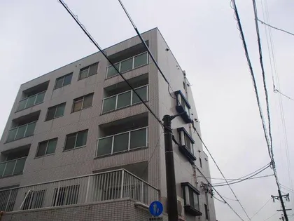 STARIAの画像