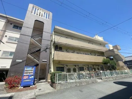 マンション菊花の画像