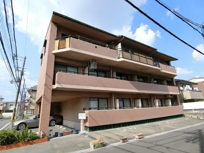 コート アネックスの画像