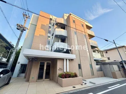 ブルーノ北畠の画像