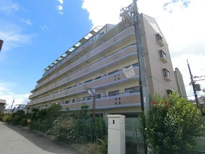 フォーロハーモネートの画像