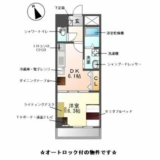 M-stage Aoi【5階】の間取り