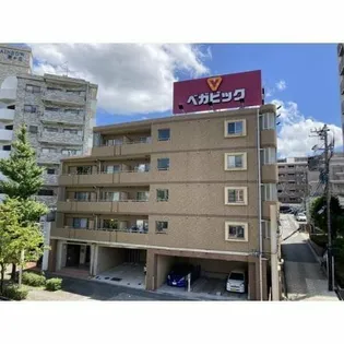 ステラヒルズ【4階】の外観