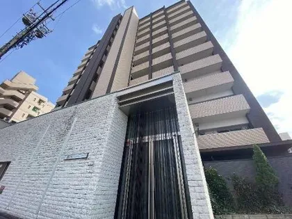 CHAYAGASAKA RISEの画像