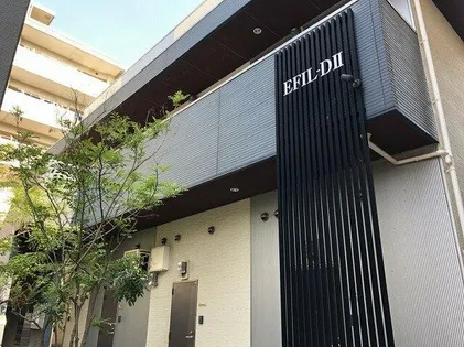 EFILーDⅡの画像