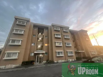 サンフラワーAハイツ【4階】の外観