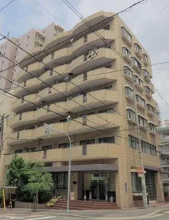 レトワールトキワの画像