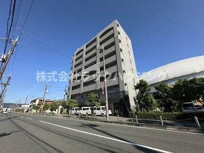 シロハイヌ門真の画像