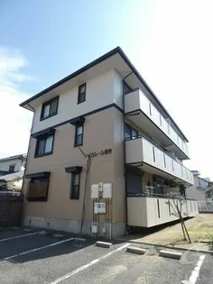 ハイカムール梅寿の画像