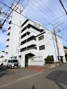 エクセル赤松の画像