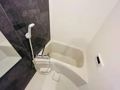 LIDIA【1階】の風呂