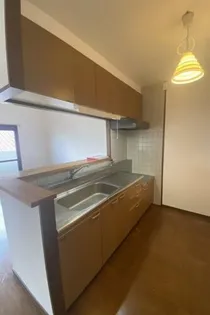 サンパティーク菜の花の画像