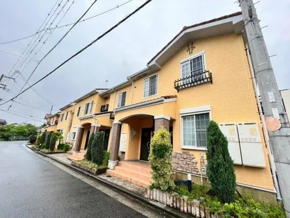 ミゾノカワBの画像