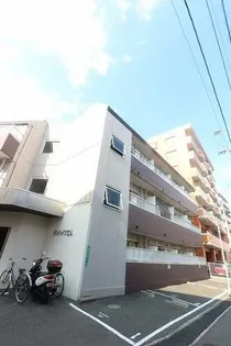 サンハイツエムの画像