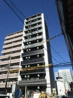 MJC大阪リベルテの画像