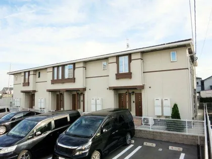 コッティ21の画像