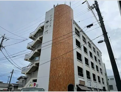 ハイデンス伊代の画像