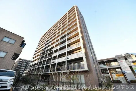 メディプラカーサの画像