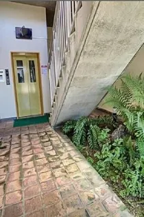 奈多パピヨンの画像