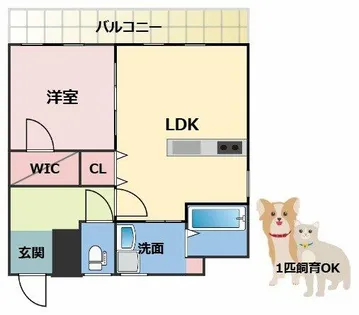 橋爪ビル【3階】の間取り