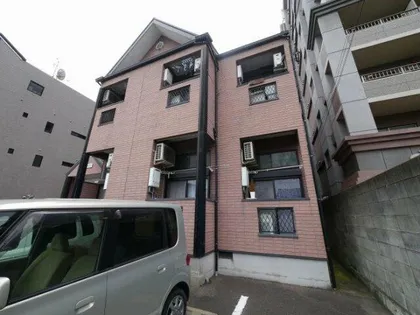 Y'S COCOの画像