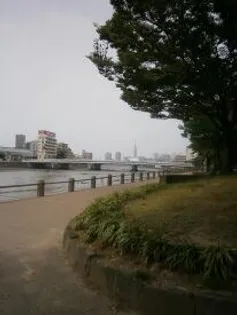 フローレス室見【401号室】のその他画像