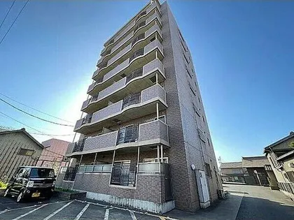 エクセル祥雲の画像