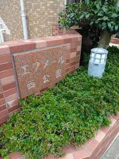 エクメール西公園の画像