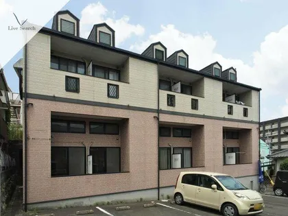 コスモツィンズの画像