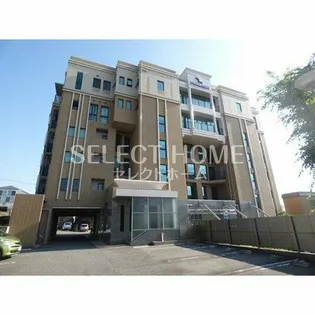 パクスフォーレの画像