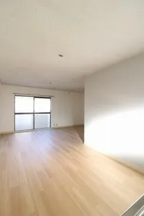 フレグランスシスルの画像