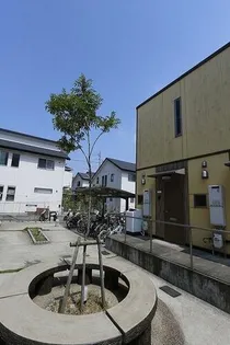 ベルパインの画像