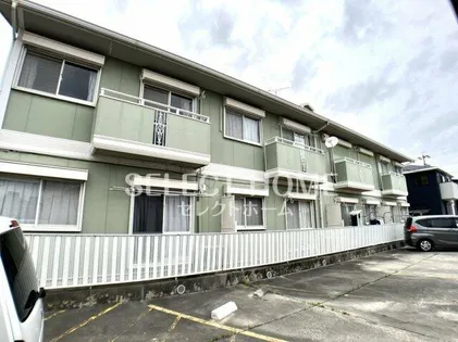 ハミング本田の画像