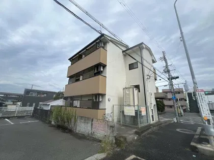 ハイネフクダの画像