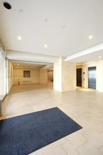 サヴォイテンジンスクワイヤーの画像