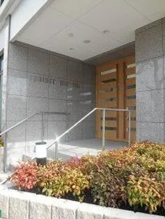 アペゼミマナの画像