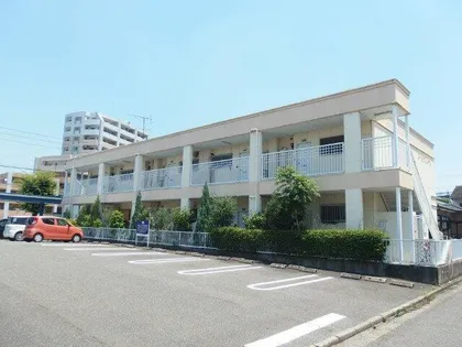 ゴールデンドーンの画像
