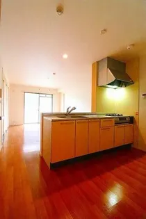 プルメリアの画像